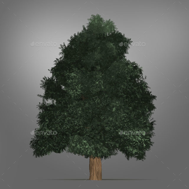 Trees - PNG and PSD by StellarBros | GraphicRiver